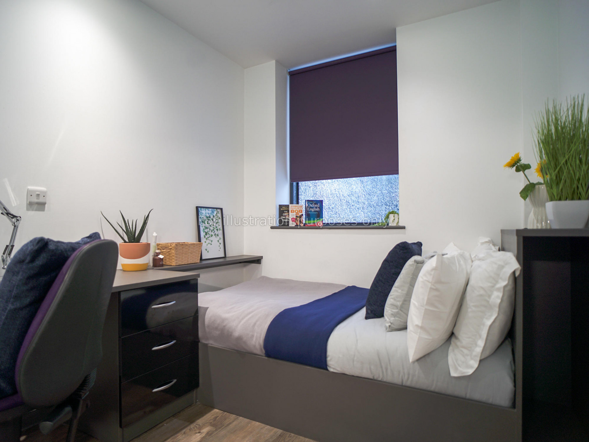 room picture