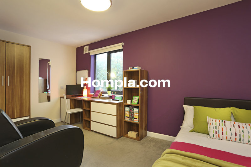 room picture