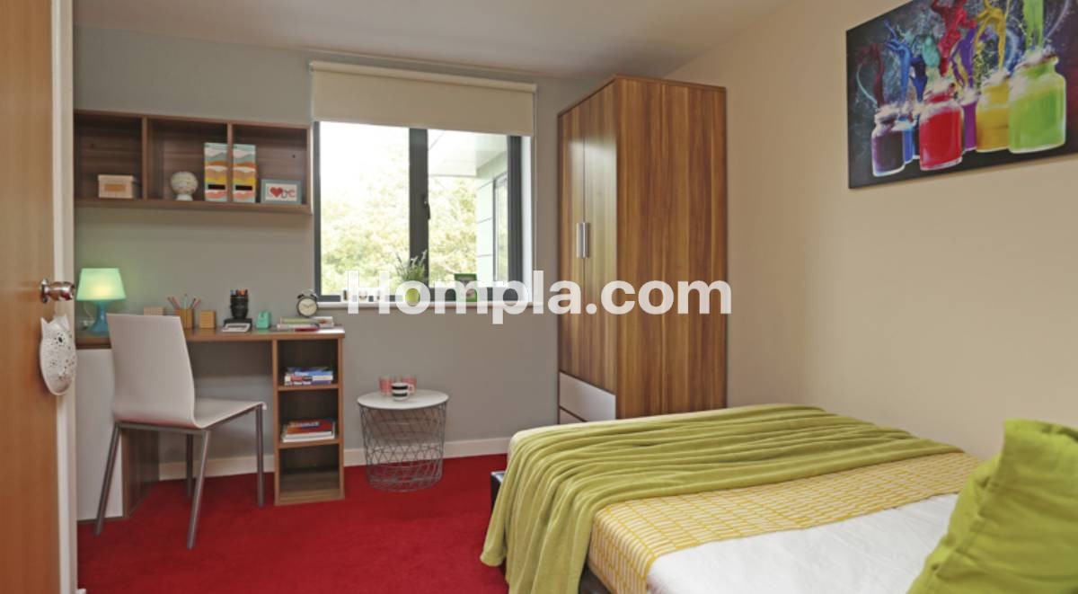 room picture