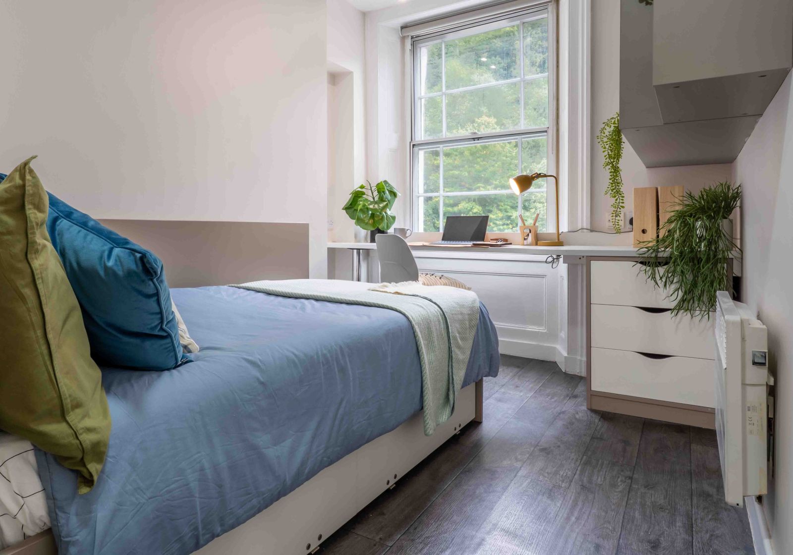 room picture