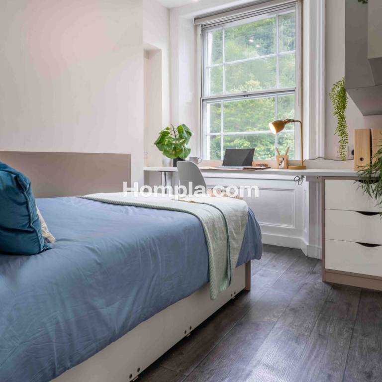 room picture