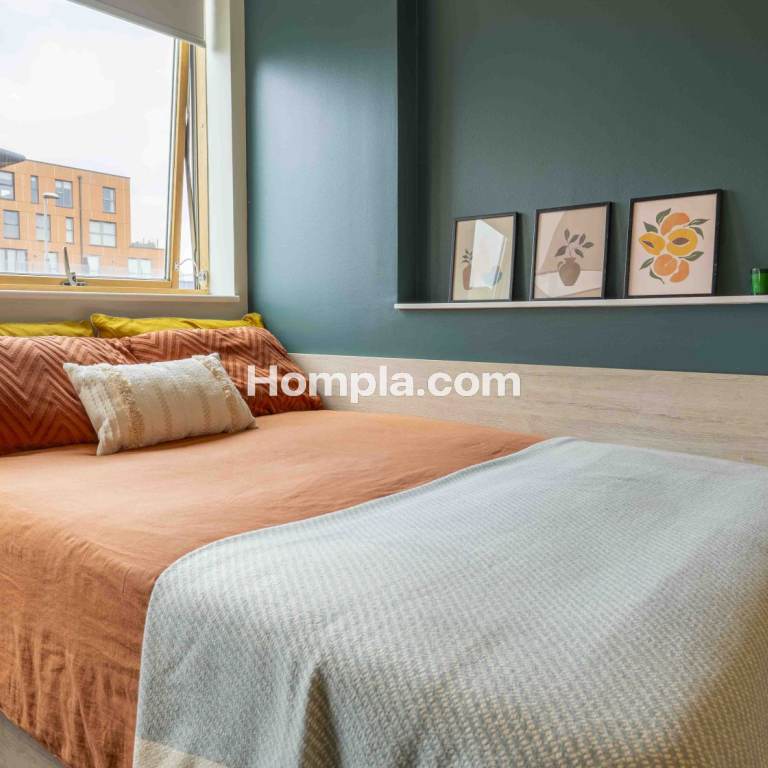 room picture