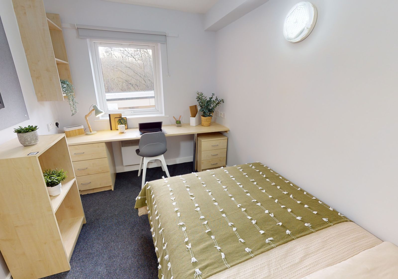 room picture