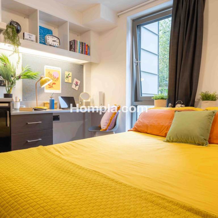 room picture