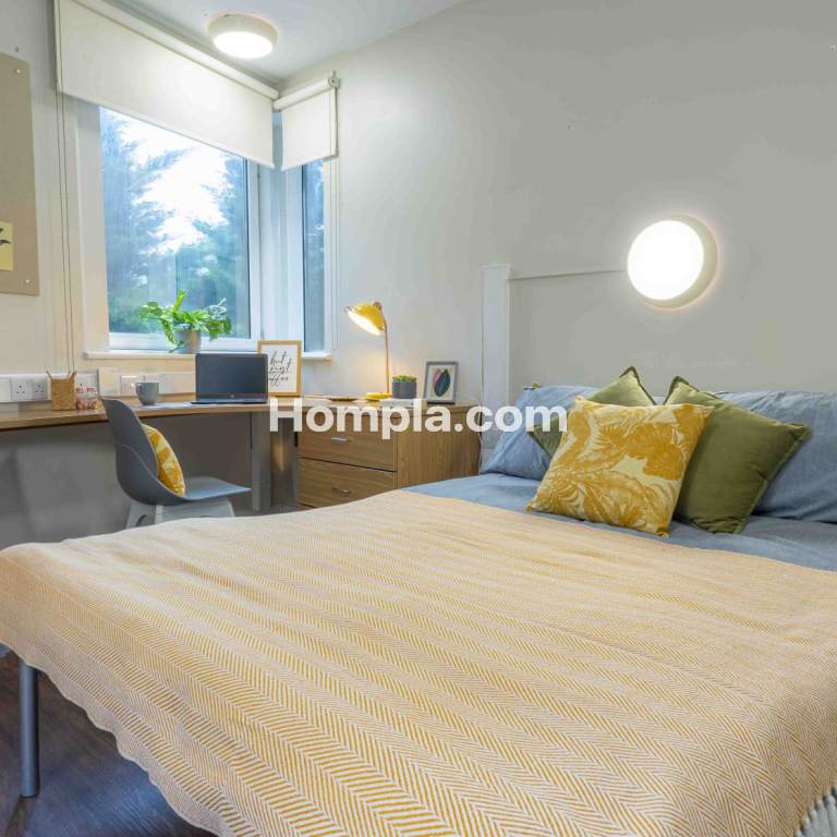 room picture