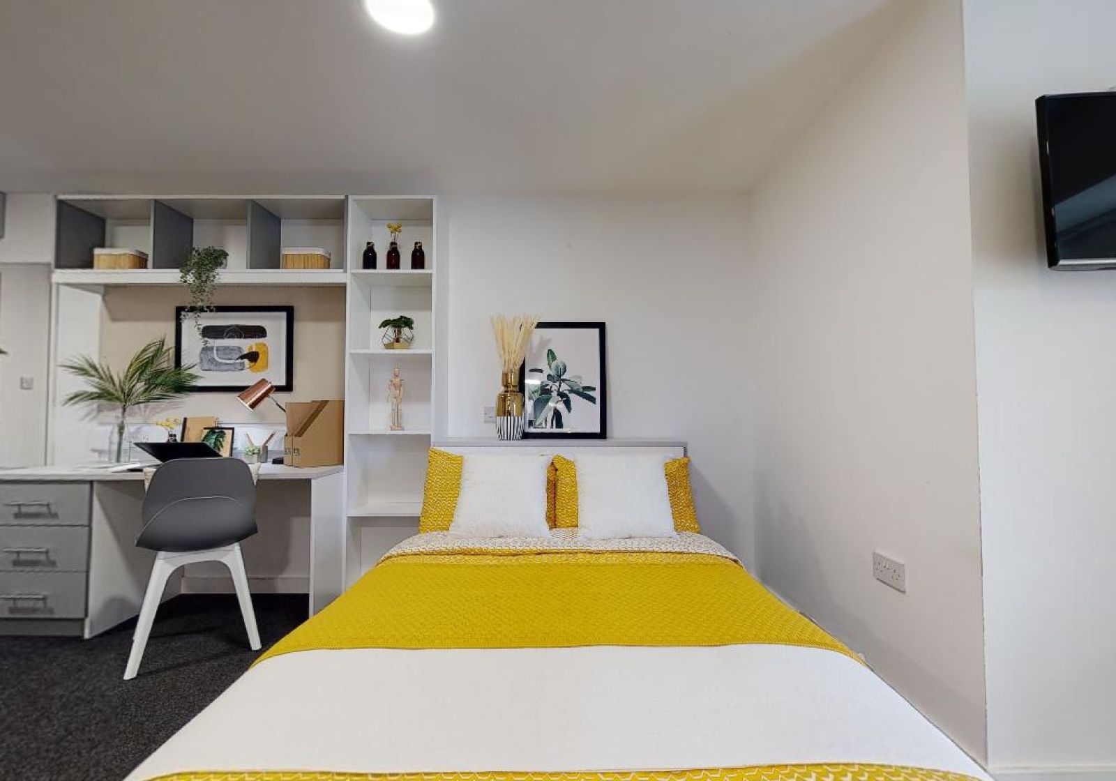 room picture