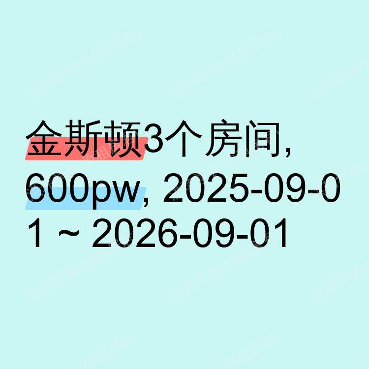 金斯顿求租