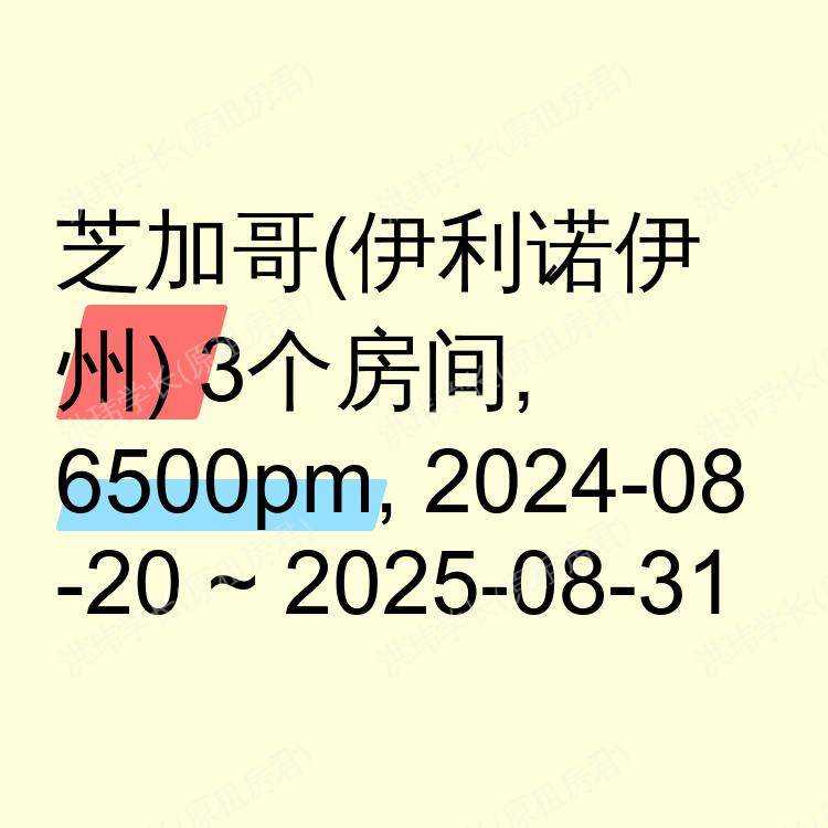 芝加哥(伊利诺伊州)求租