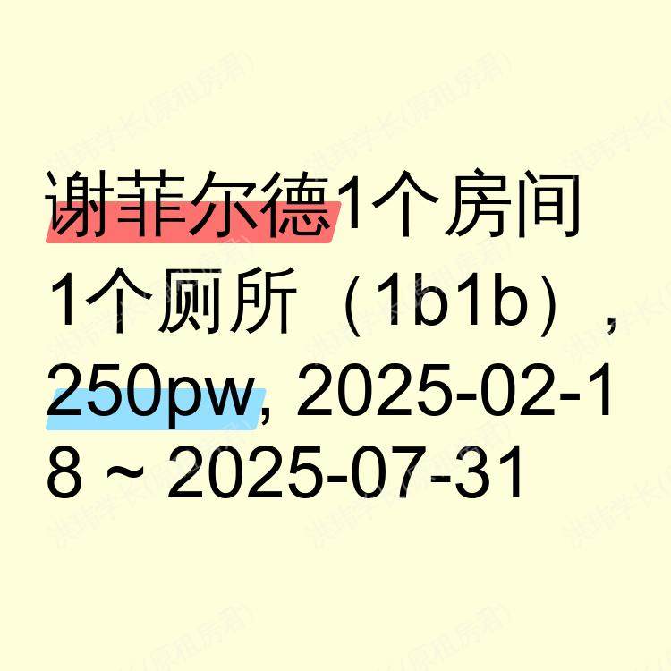 谢菲尔德求租