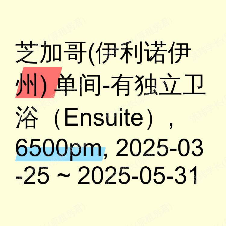芝加哥(伊利诺伊州)求租