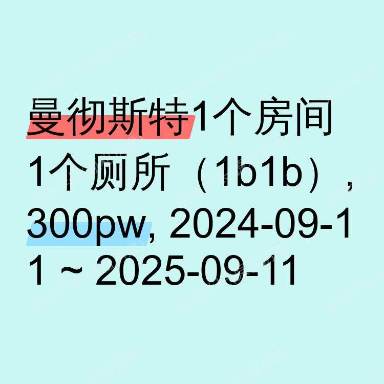 曼彻斯特求租