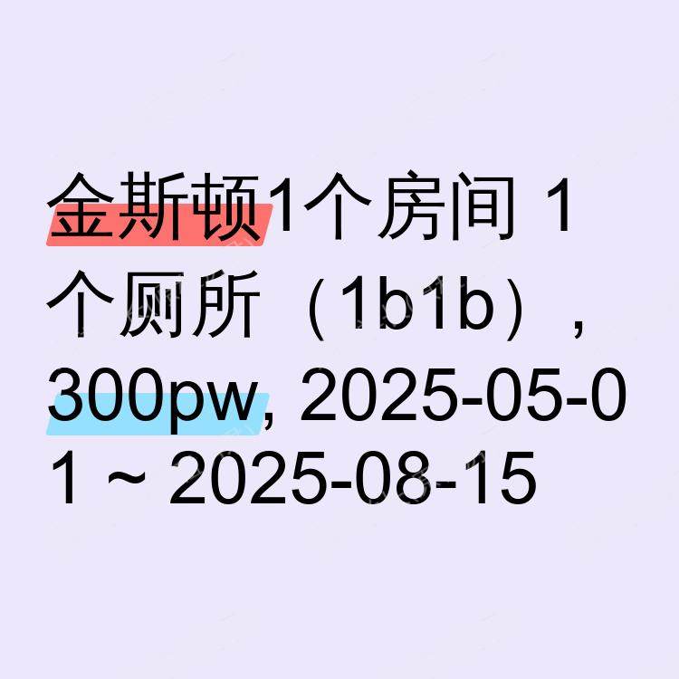 金斯顿求租