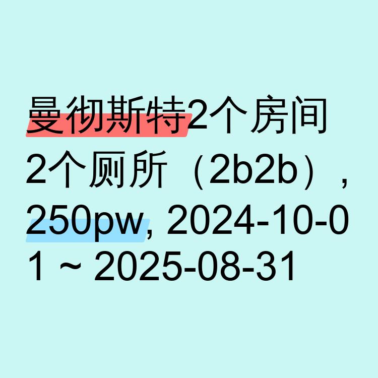 曼彻斯特求租