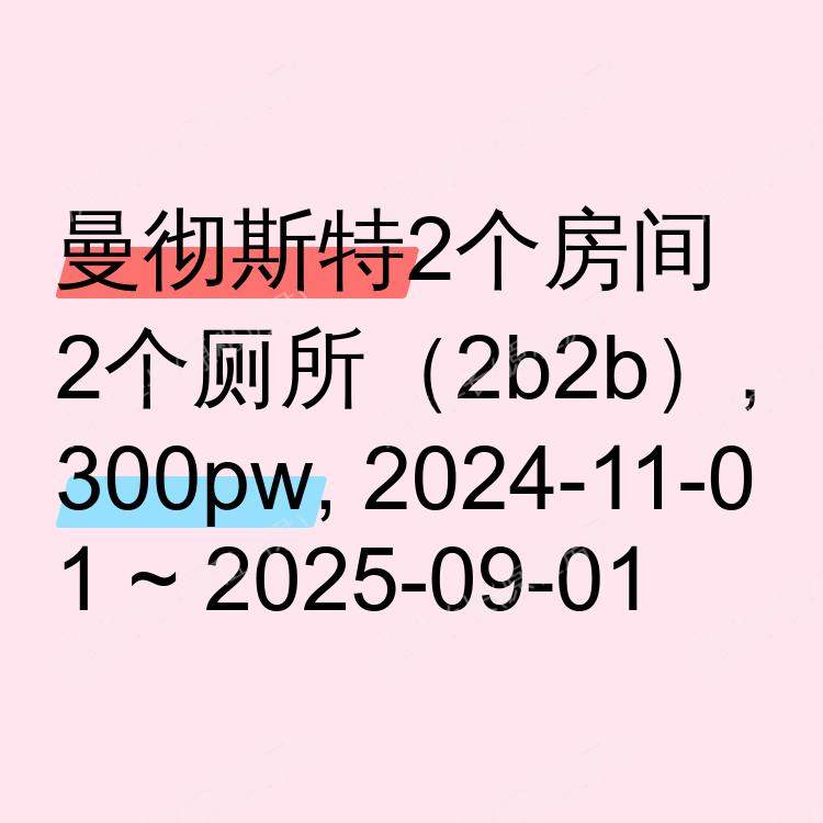 曼彻斯特求租
