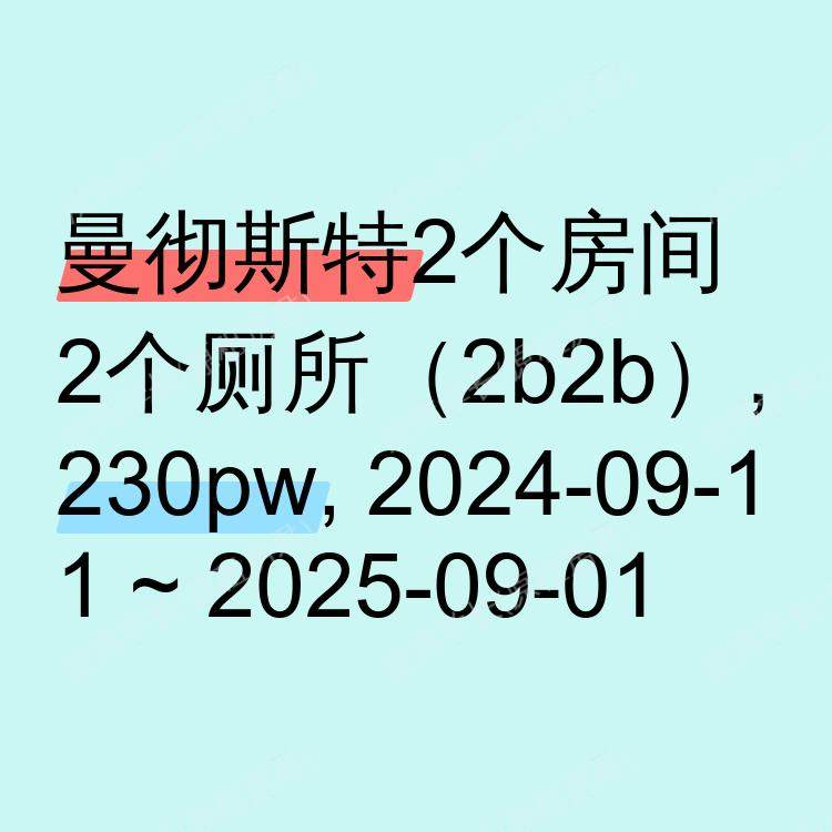 曼彻斯特求租