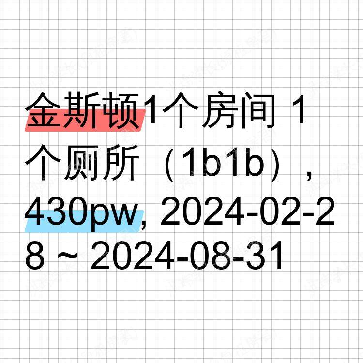 金斯顿求租