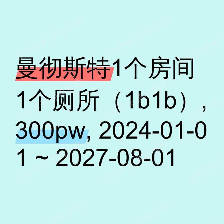 曼彻斯特求租