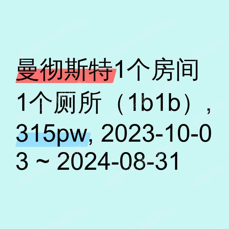 曼彻斯特求租