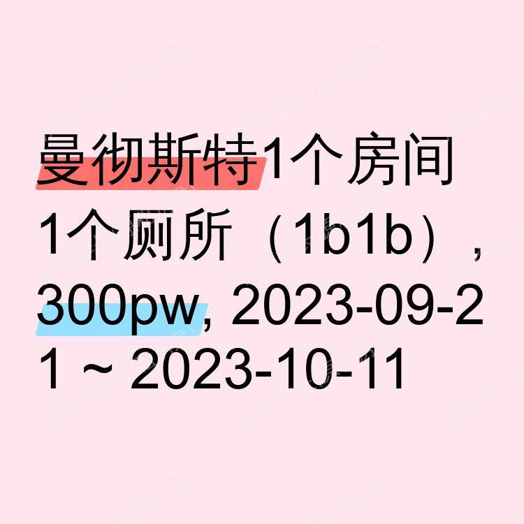 曼彻斯特求租