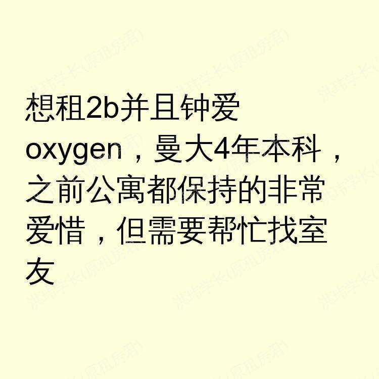 曼彻斯特求租