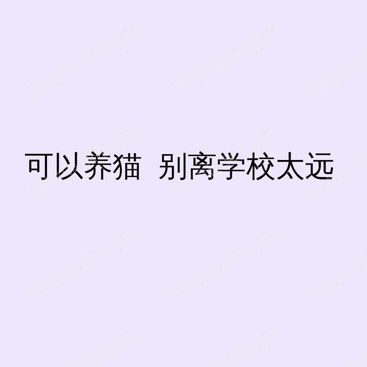布里斯托求租
