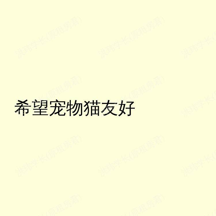 西雅图(华盛顿州)求租