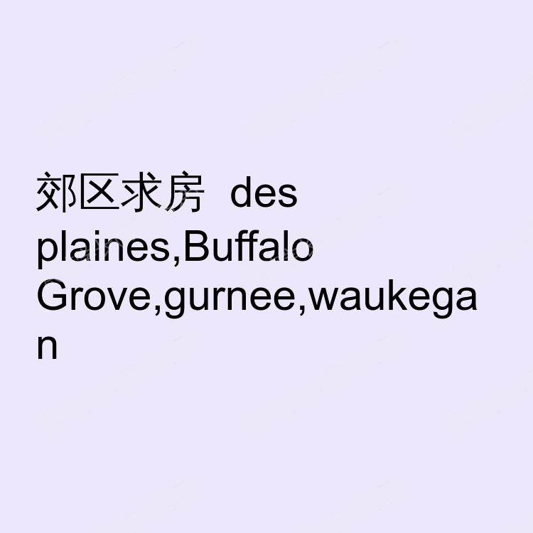 芝加哥(伊利诺伊州)求租