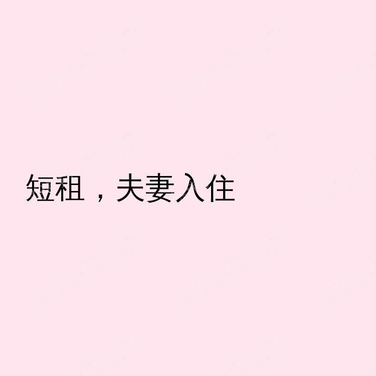 斯泰特科利奇(宾夕法尼亚州)求租