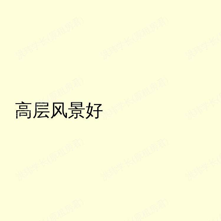 南安普敦求租