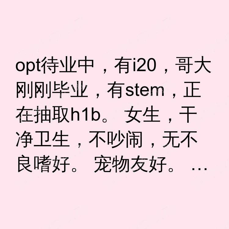 纽约(纽约州)求租
