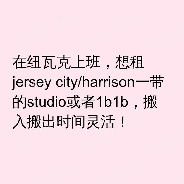 纽瓦克(新泽西州)求租