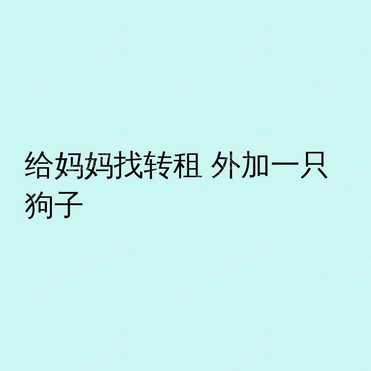霍博肯(新泽西州)求租