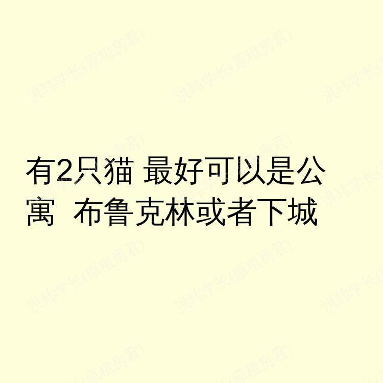 纽约(纽约州)求租