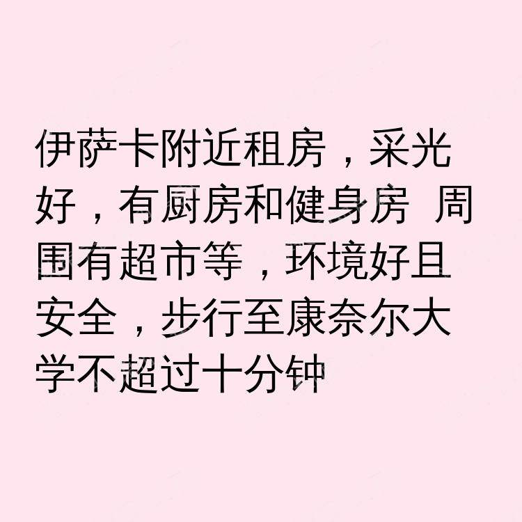 伊萨卡(纽约州)求租