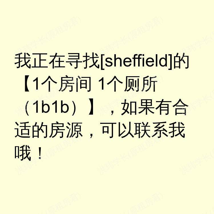 谢菲尔德求租