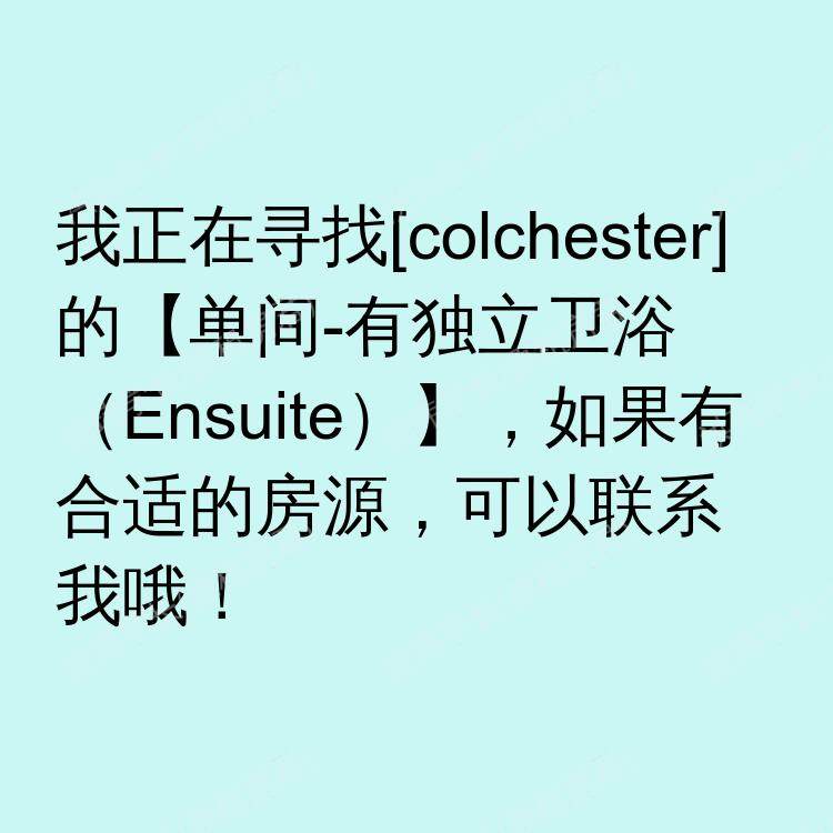 科尔切斯特求租