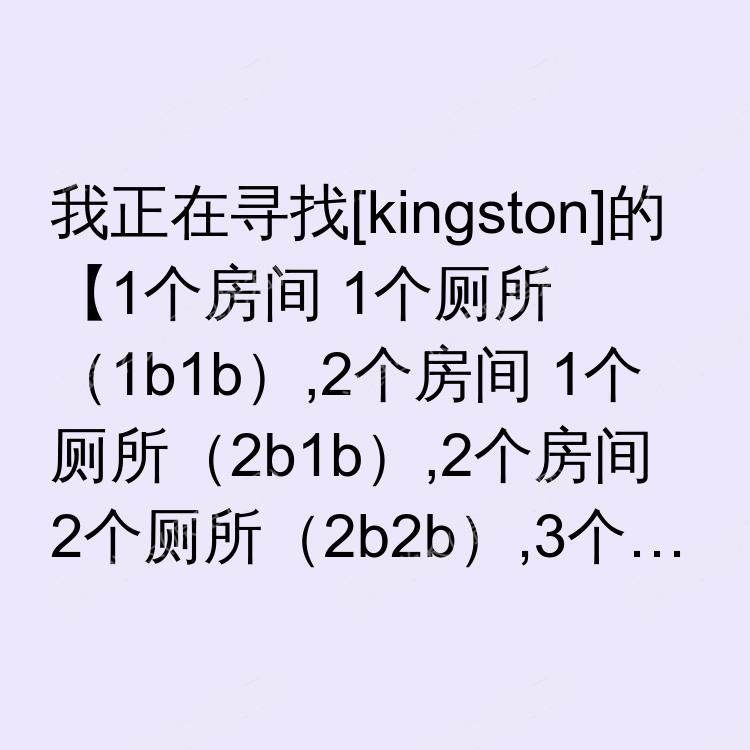 金斯顿求租