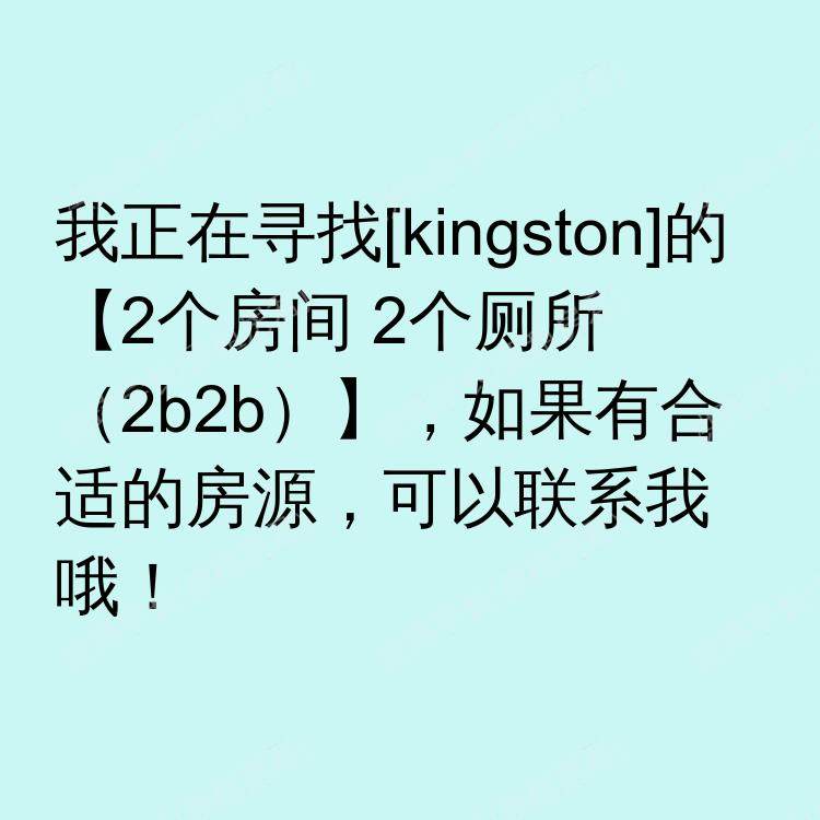 金斯顿求租