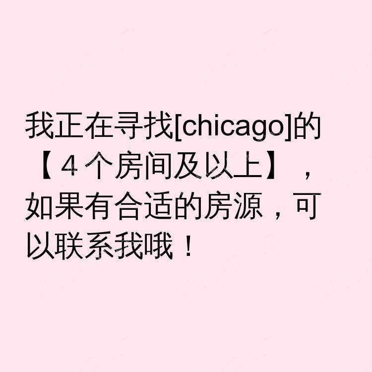 芝加哥(伊利诺伊州)求租