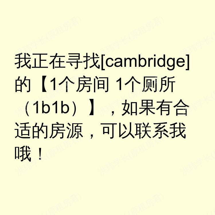 剑桥求租
