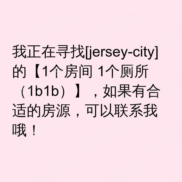 泽西市(新泽西州)求租