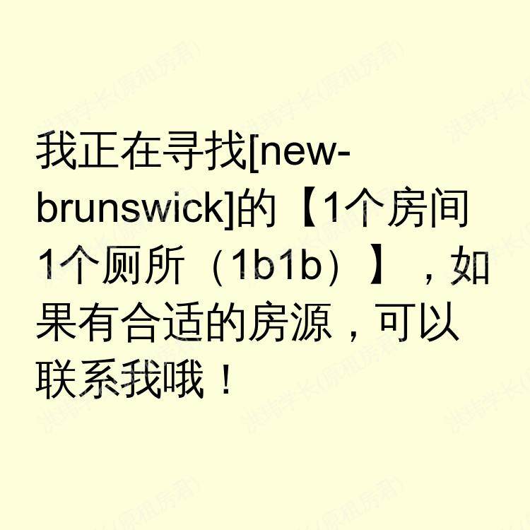 新布伦瑞克(新泽西州)求租