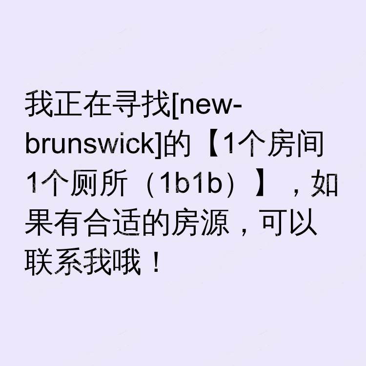 新布伦瑞克(新泽西州)求租