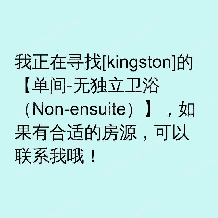 金斯顿求租