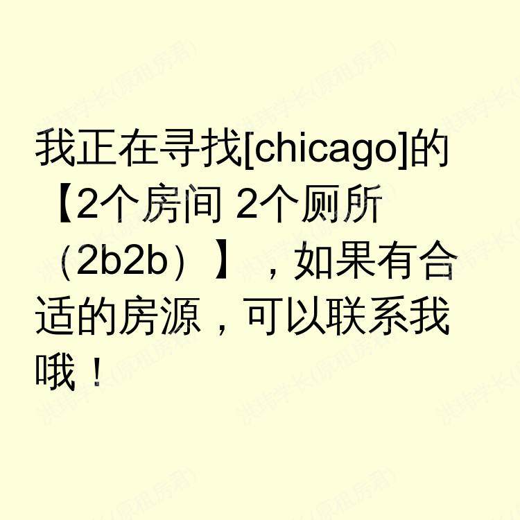 芝加哥(伊利诺伊州)求租