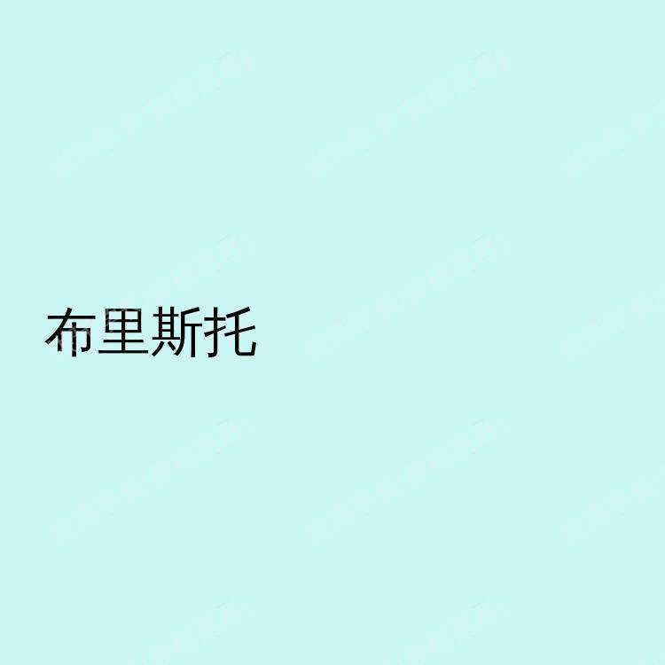 布里斯托求租