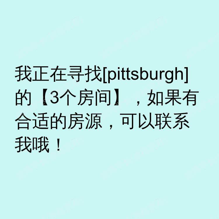 匹兹堡(宾夕法尼亚州)求租