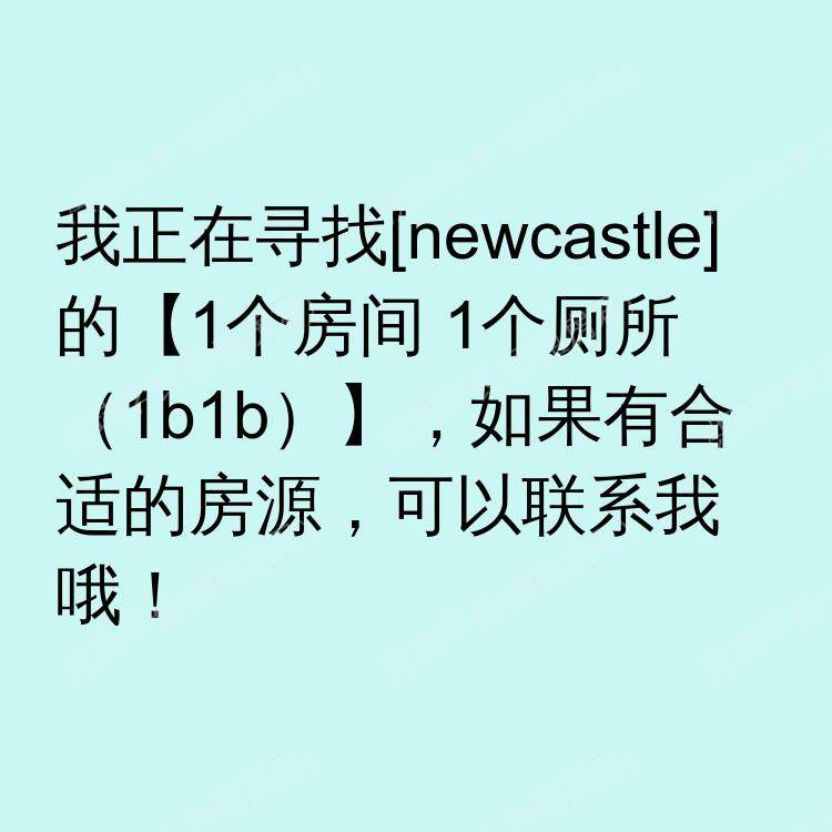 纽卡斯尔求租
