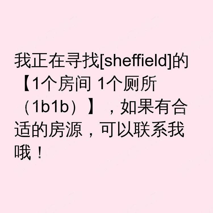 谢菲尔德求租
