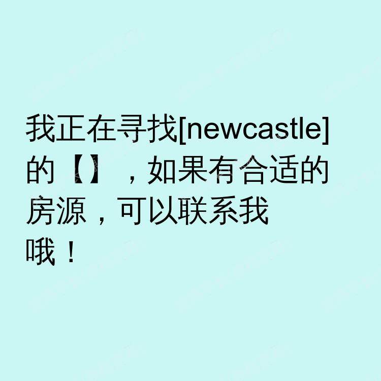 纽卡斯尔求租